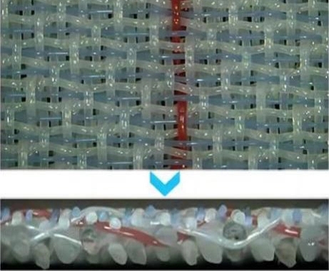 2-5 طبقة تكوين بنية بنية